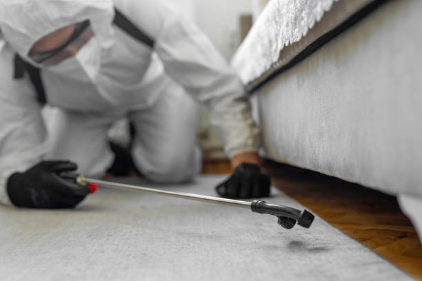 Professional Bed Bug Control technician working in Saugerties South, NY